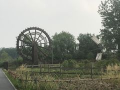 -溱湖国家湿地公园