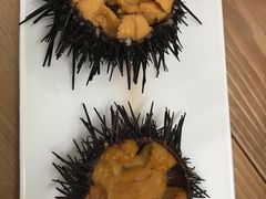 -海胆小馆(东北水饺·春柳店)