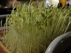 -老表记广西宵夜螺蛳鸭脚煲(西大店)