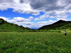 -白草畔自然风景区