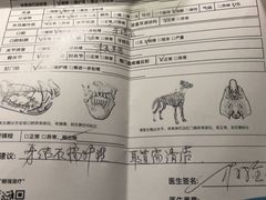 -顺强宠物诊所·狂犬免疫·夜诊·骨科(嘉定店)