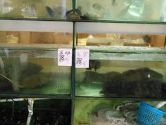 -金生美食(贵州路店)