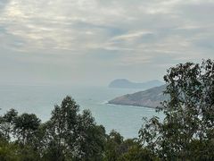 -广东惠东海龟国家级自然保护区