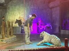 -清迈夜间动物园