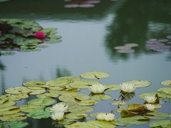 -国家植物园南园