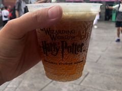 -哈利波特禁忌之旅