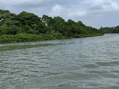 -东寨港红树林旅游区