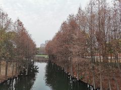 -厦门园林博览苑