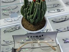 -罗伯特眼镜·蔡司官方授权(罗湖国贸店)