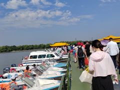 -溱湖国家湿地公园