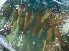 -聚德福海鲜家常菜(刘庄店)