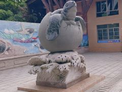 -广东惠东海龟国家级自然保护区