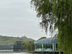 -上海月湖雕塑公园