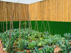 -苏记溪河鲢鱼庄(天府新区店)