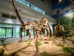 -自贡恐龙博物馆