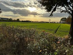 -莲花岛景区