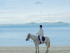 -玫瑰海岸文化旅游度假区