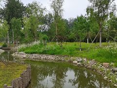 -莲花池公园