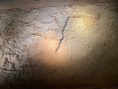 -世界恐龙谷景区