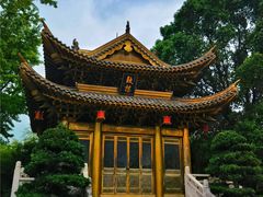 -上海东林寺(金山区)