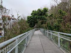 -佛山华盖山公园