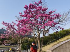 -白石龙音乐公园