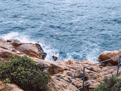 -广东惠东海龟国家级自然保护区