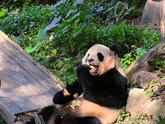-广州长隆野生动物世界