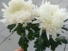 -侵华日军南京大屠杀遇难同胞纪念馆