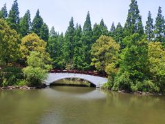 -东平国家森林公园