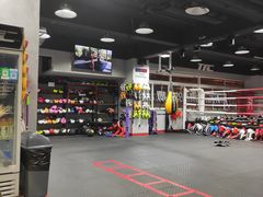 -TFC 纯泰拳馆MuayThai