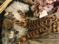 -鲜入围煮花胶鸡海鲜火锅