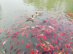 -泰安地下龙宫景区