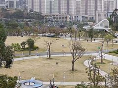 -白石龙音乐公园