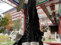 -大明幻境第一城
