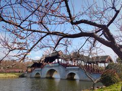 -上海海湾国家森林公园