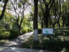 -昆山城市生态森林公园