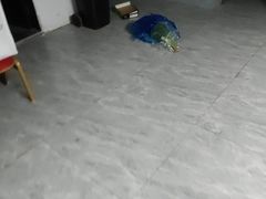 -添彩臻宴