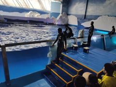 -秦皇岛乐岛海洋王国