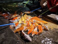 -海合安青岛极地海洋公园