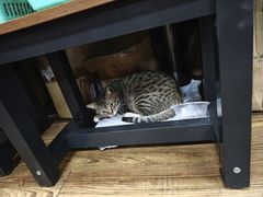 -净行天厨(莲塘总店)