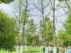 -天鹅湖体育公园