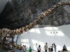 -中华赏石园