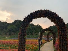 -广州市石门国家森林公园