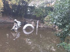 -汇龙潭