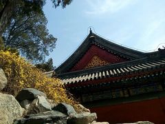 -庆丰包子铺(青龙桥店)