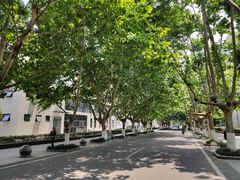 -四川农业大学(雅安校区)