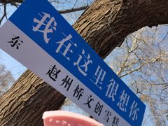 -赵州桥景区