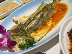 -33号大院·青岛本帮菜(五四广场店)