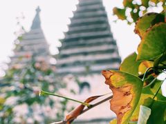 -北京石刻艺术博物馆(五塔寺)